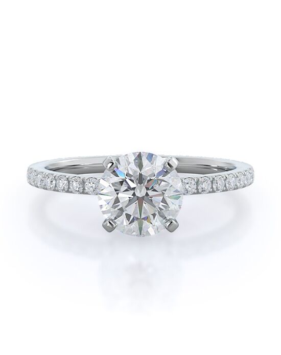 With Clarity Elegant Princess, Asscher, Cushion, Emerald, Marquise, Pear, Radiant, Round, Oval Cut Engagement Ring - 1