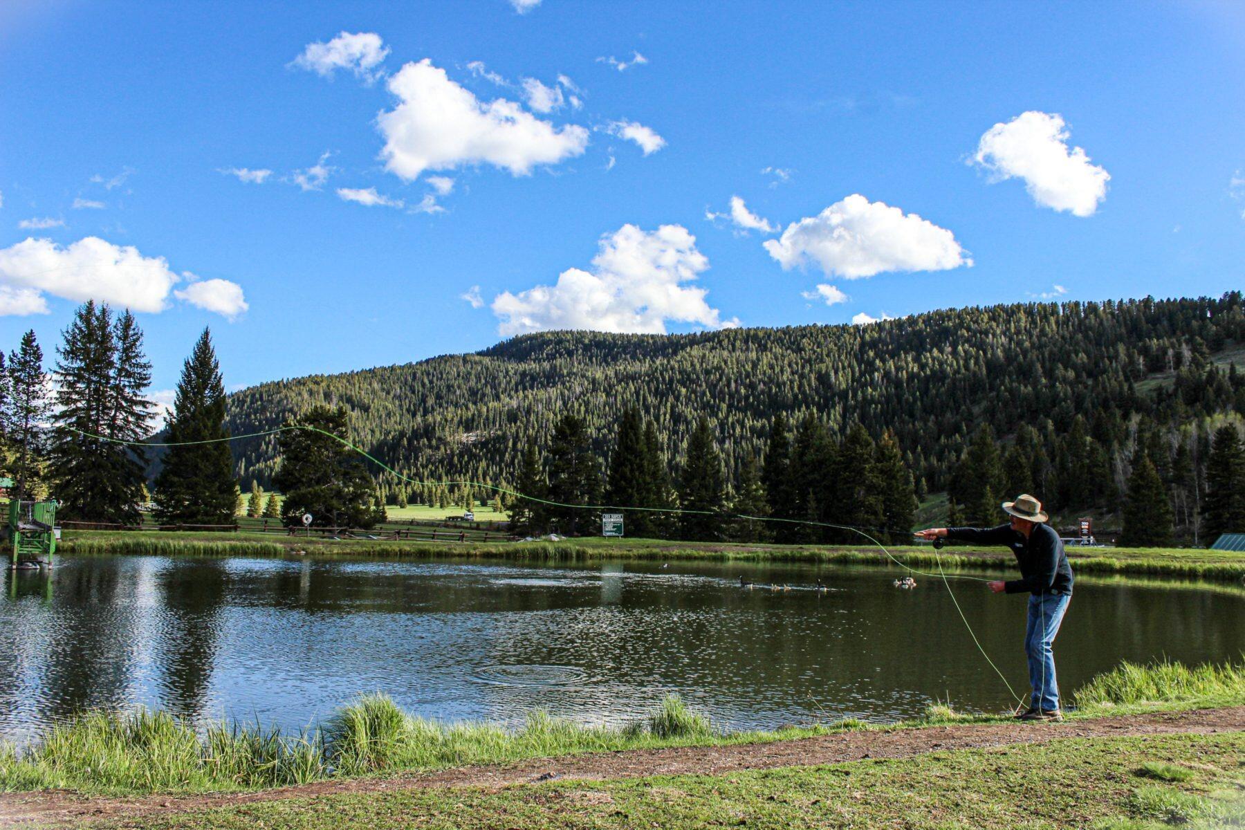 Picture of Fly Fishing