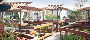 Picture of The Cultured Pearl Restaurant & Sushi Bar