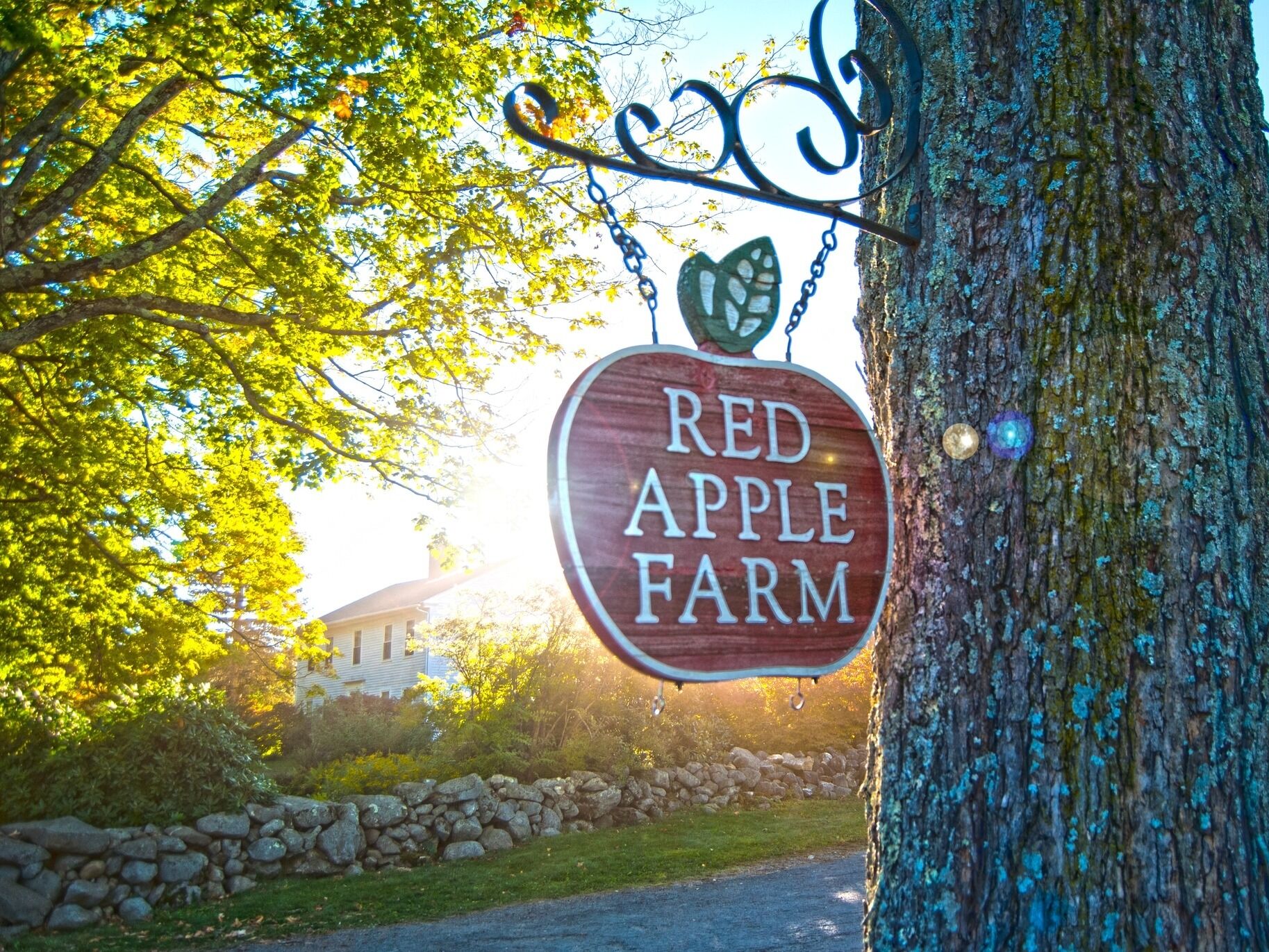 Picture of Red Apple Farm