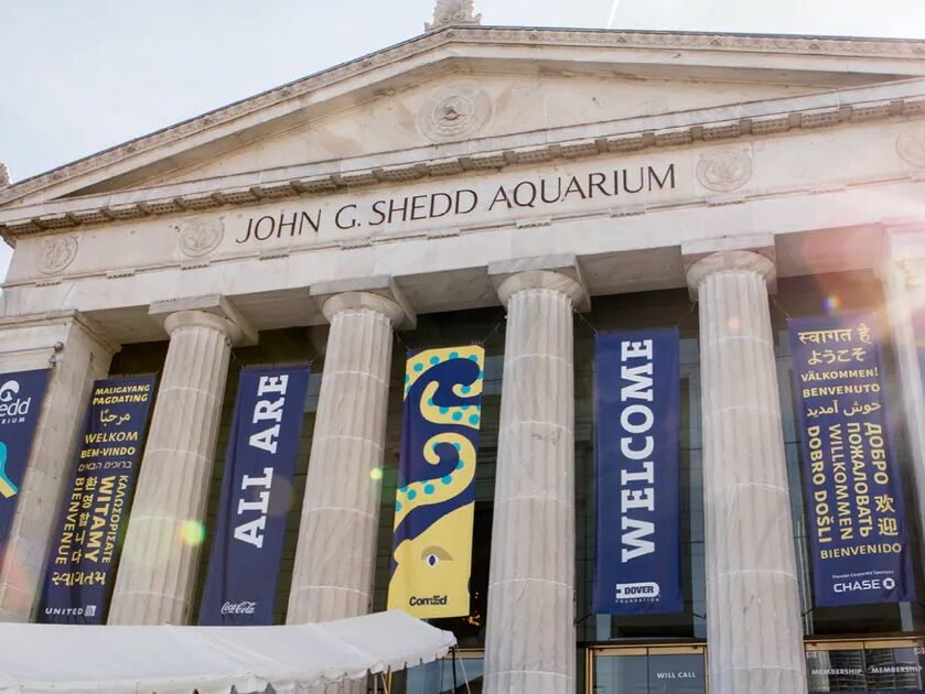 Picture of Shedd Aquarium