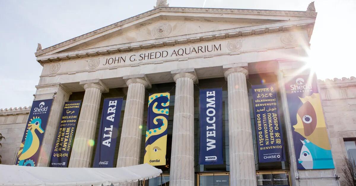 Picture of Shedd Aquarium