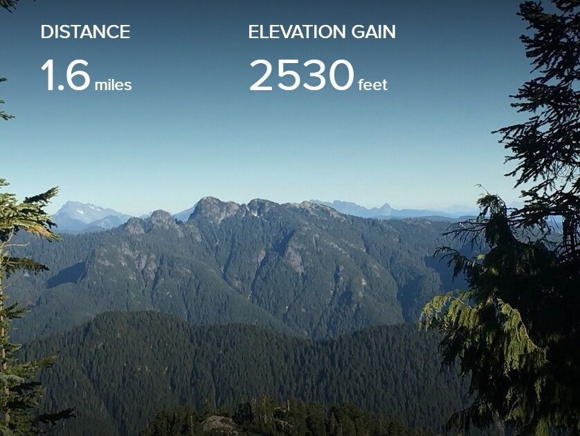 Picture of The Grouse Grind