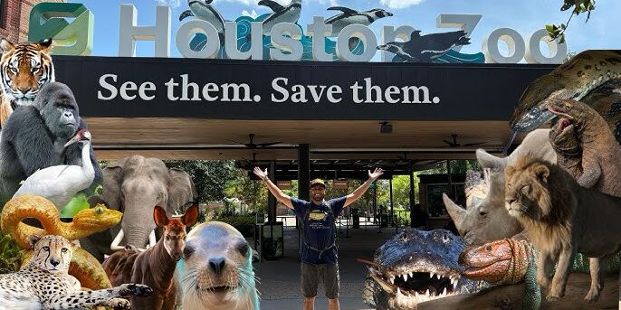 Picture of Houston Zoo
