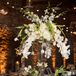 Modern White Orchid Cascade Centerpieces