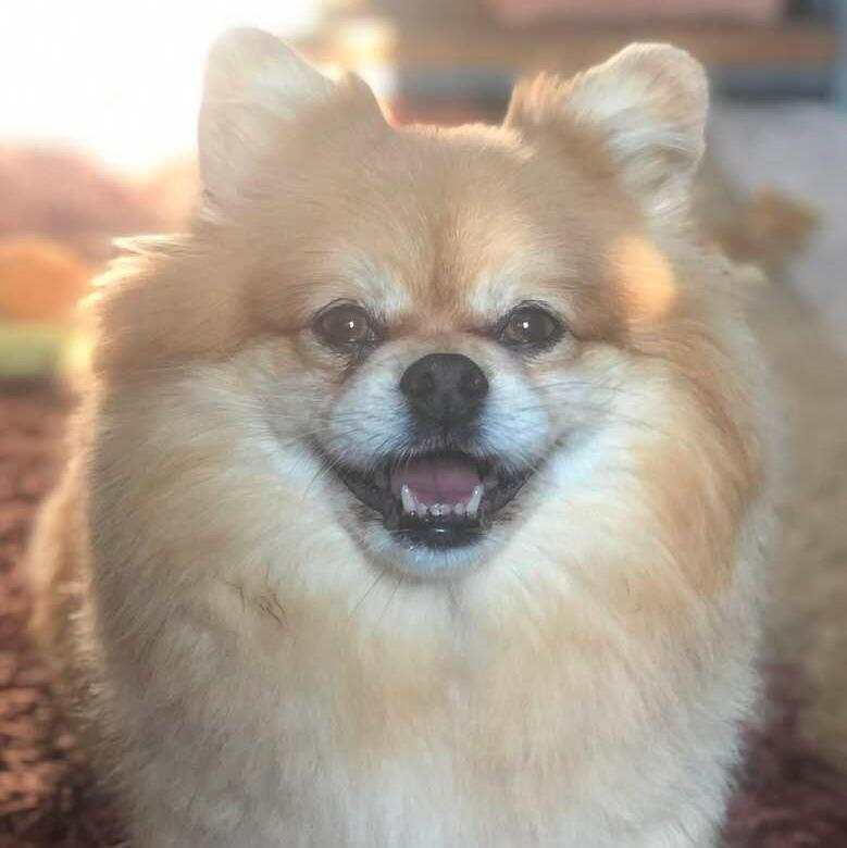 Toby John
