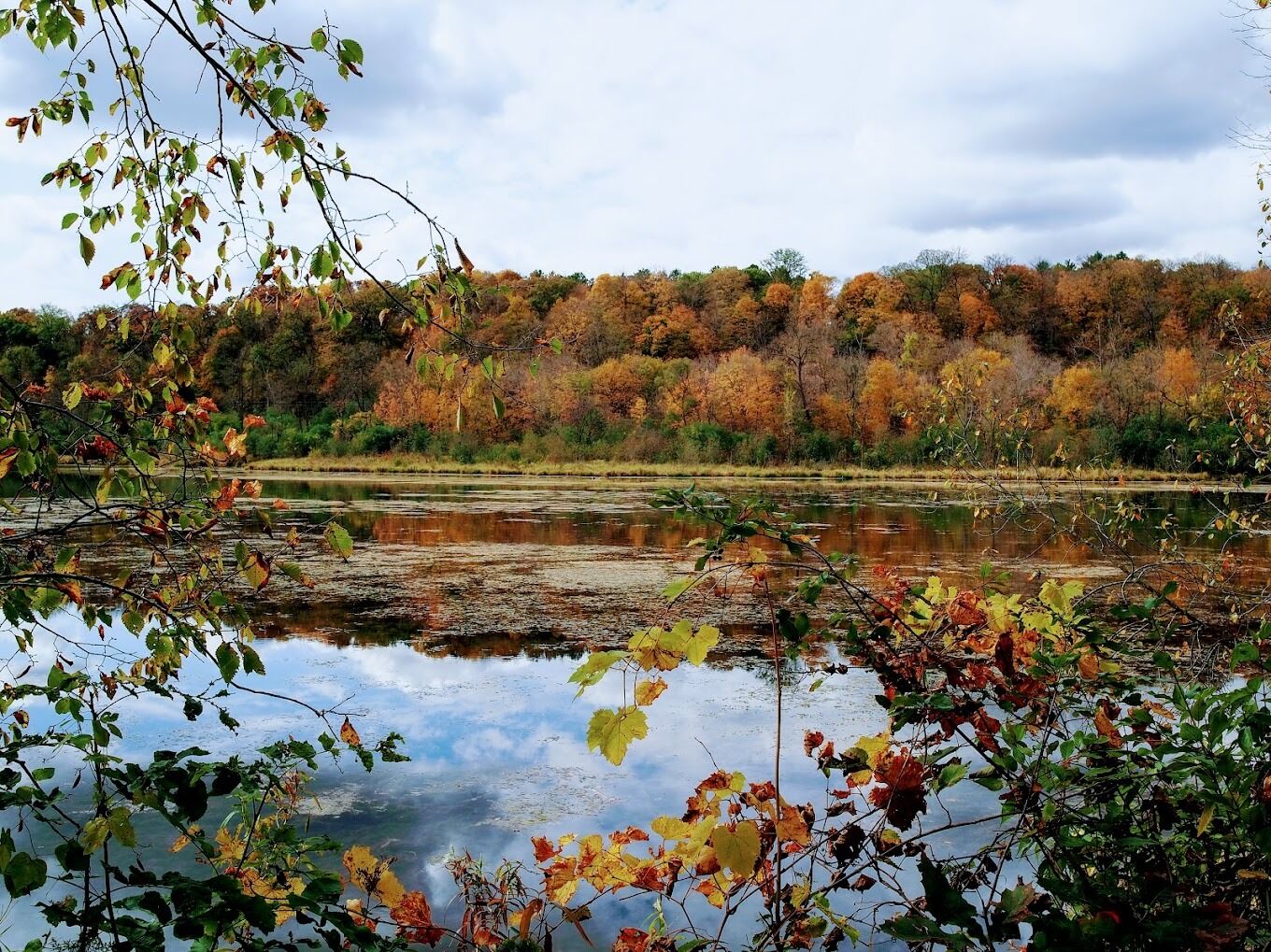 Picture of William O'Brien State Park