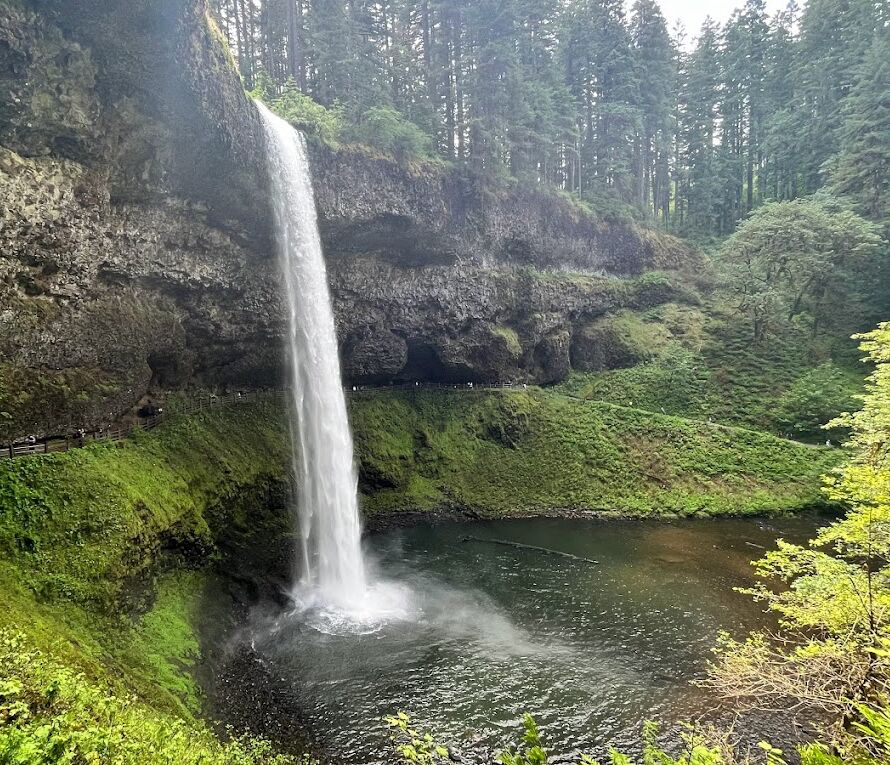 Picture of Silver Falls State Park