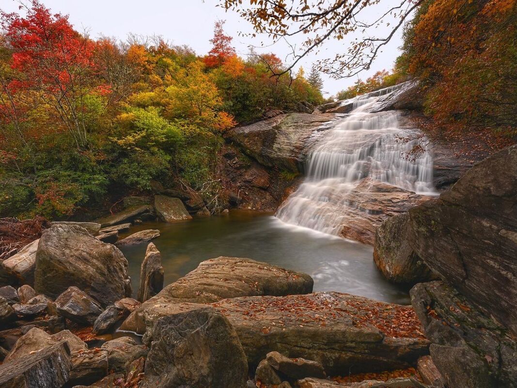 Picture of Pisgah National Forest