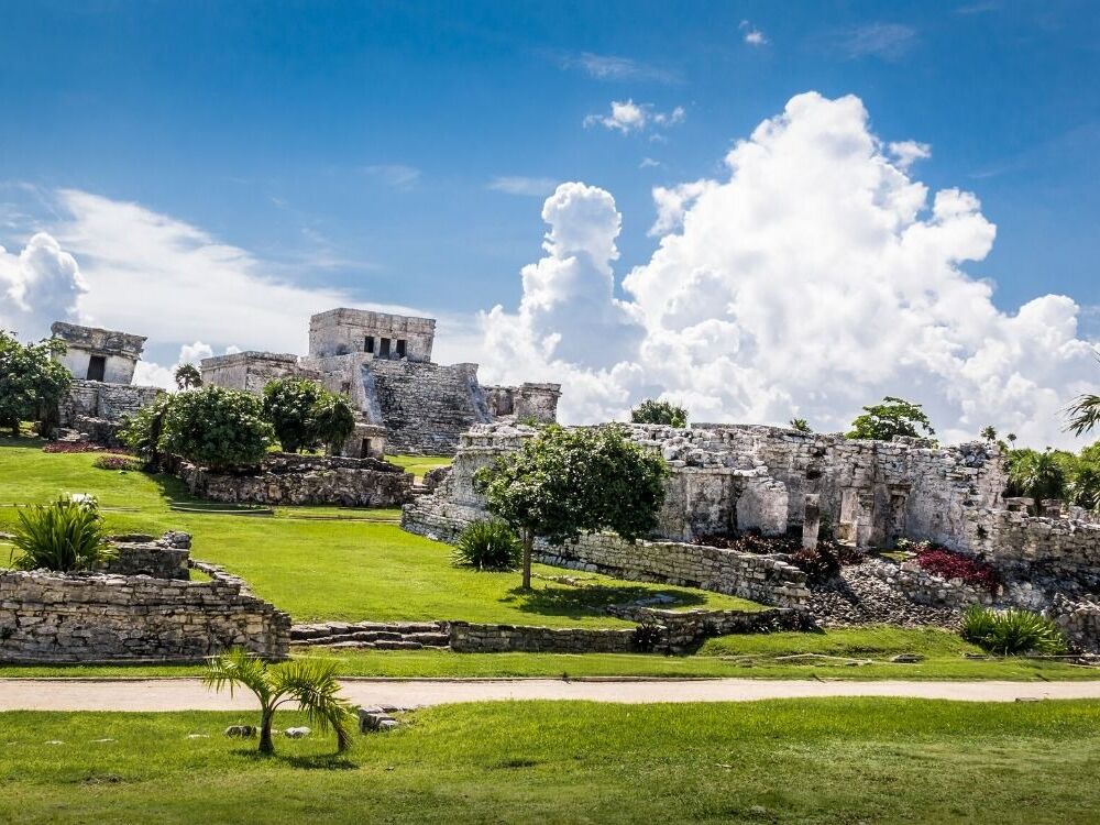 Picture of Full Day Tulum Ruins Tour Cenote and Swimming with Turtles