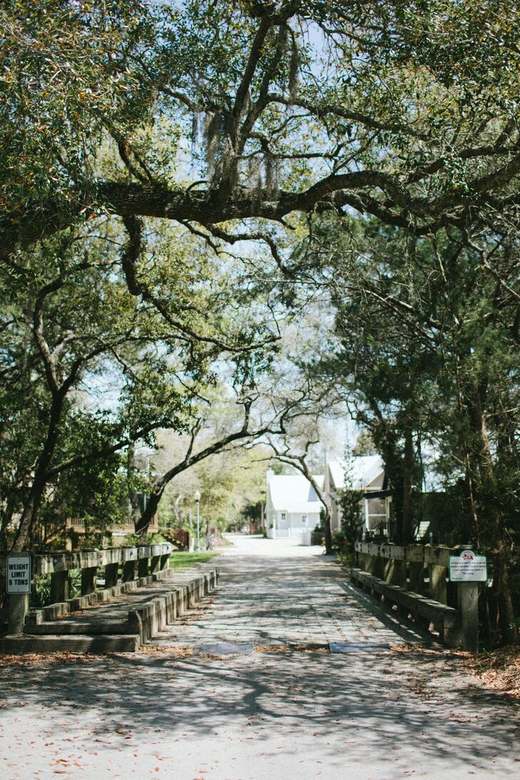 Moss Covered Oak Tree Walkway