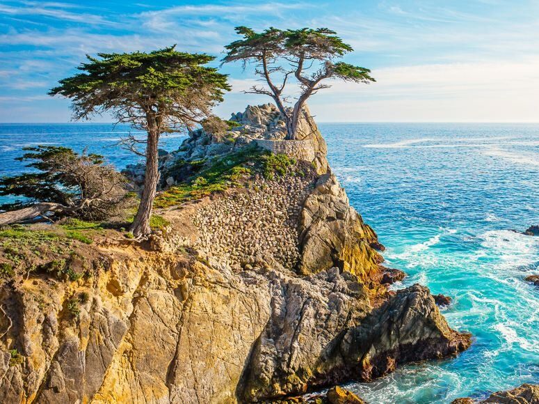 Picture of 17 Mile Dr California