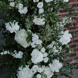 Gallery Photo 24