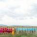 “With the feeling of celebration leading our style choices, the bridesmaids were to choose their dress of fuchsia to red hues and the groomsmen wore gingham print button down shirts in vibrant shades of teal and blue topaz.”