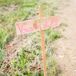 DIY Wood Ceremony Sign