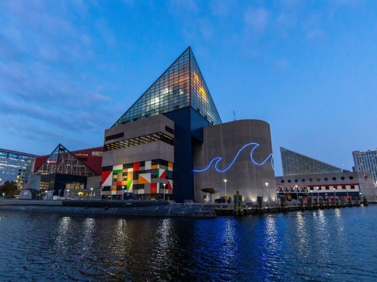 Picture of Baltimore Aquarium