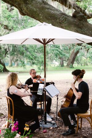 String Musicians Under Umbrella at the Tree of Life in Audubon Park in New Orleans