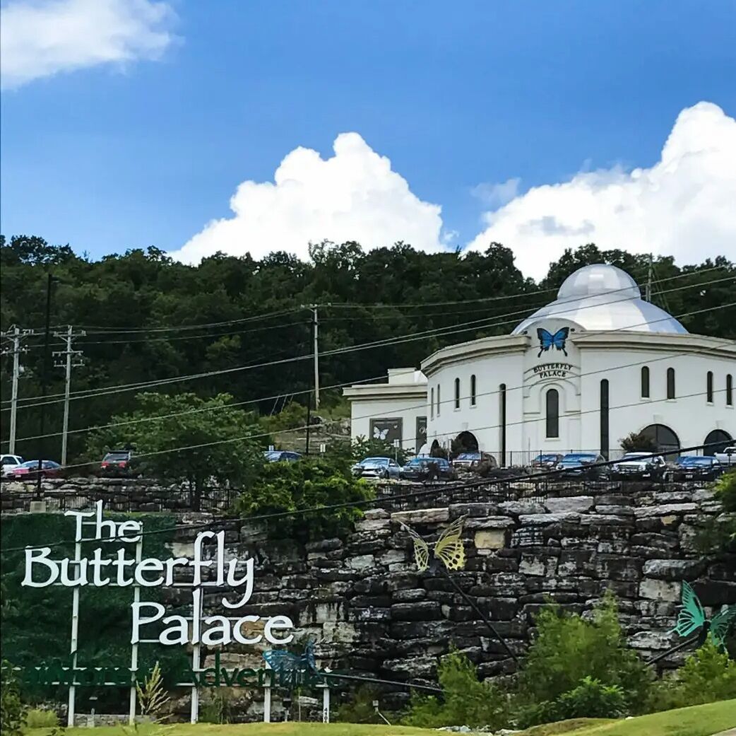 Picture of The Butterfly Palace & Rainforest Adventure