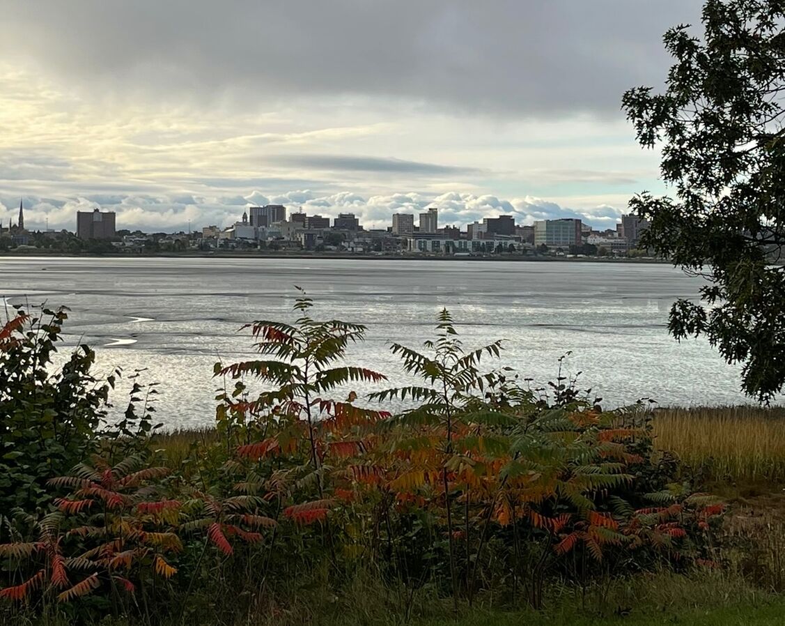 Picture of Back Cove Trail Parking