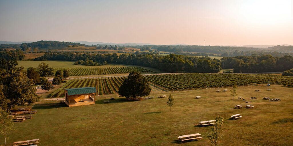 Picture of Arrington Vineyards