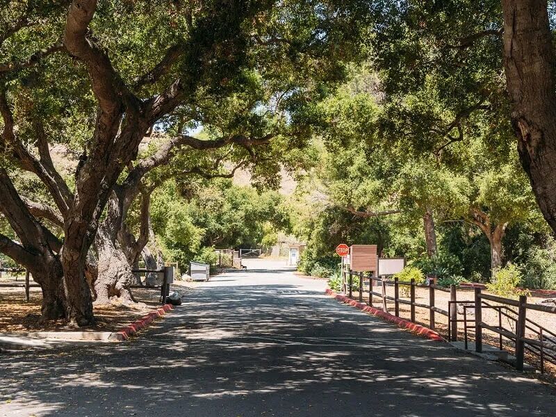 Picture of Camarillo Grove Park