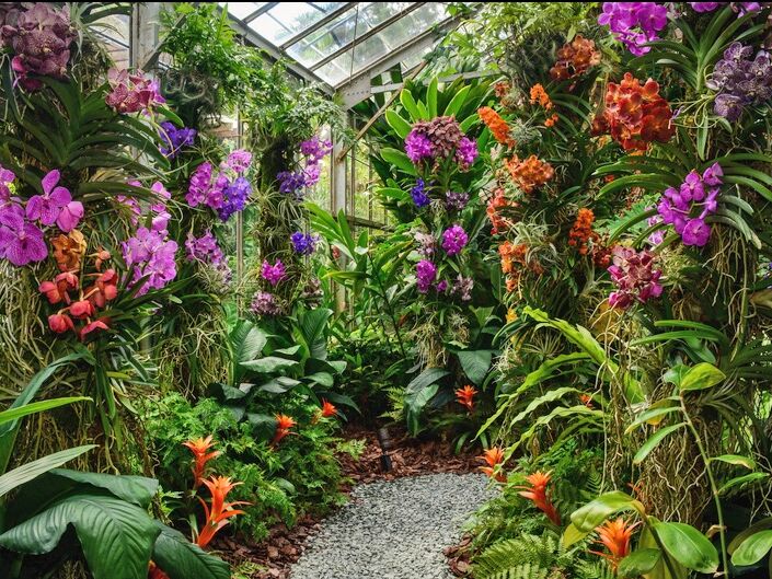 Picture of Marie Selby Botanical Gardens Downtown Sarasota campus