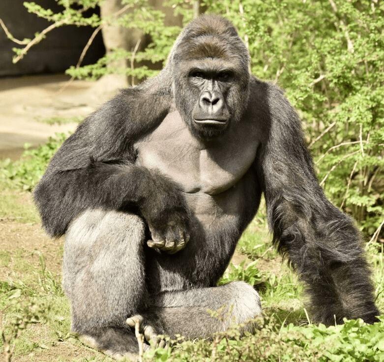Picture of Cincinnati Zoo