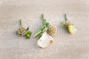 Scabiosa Pod Boutonnieres