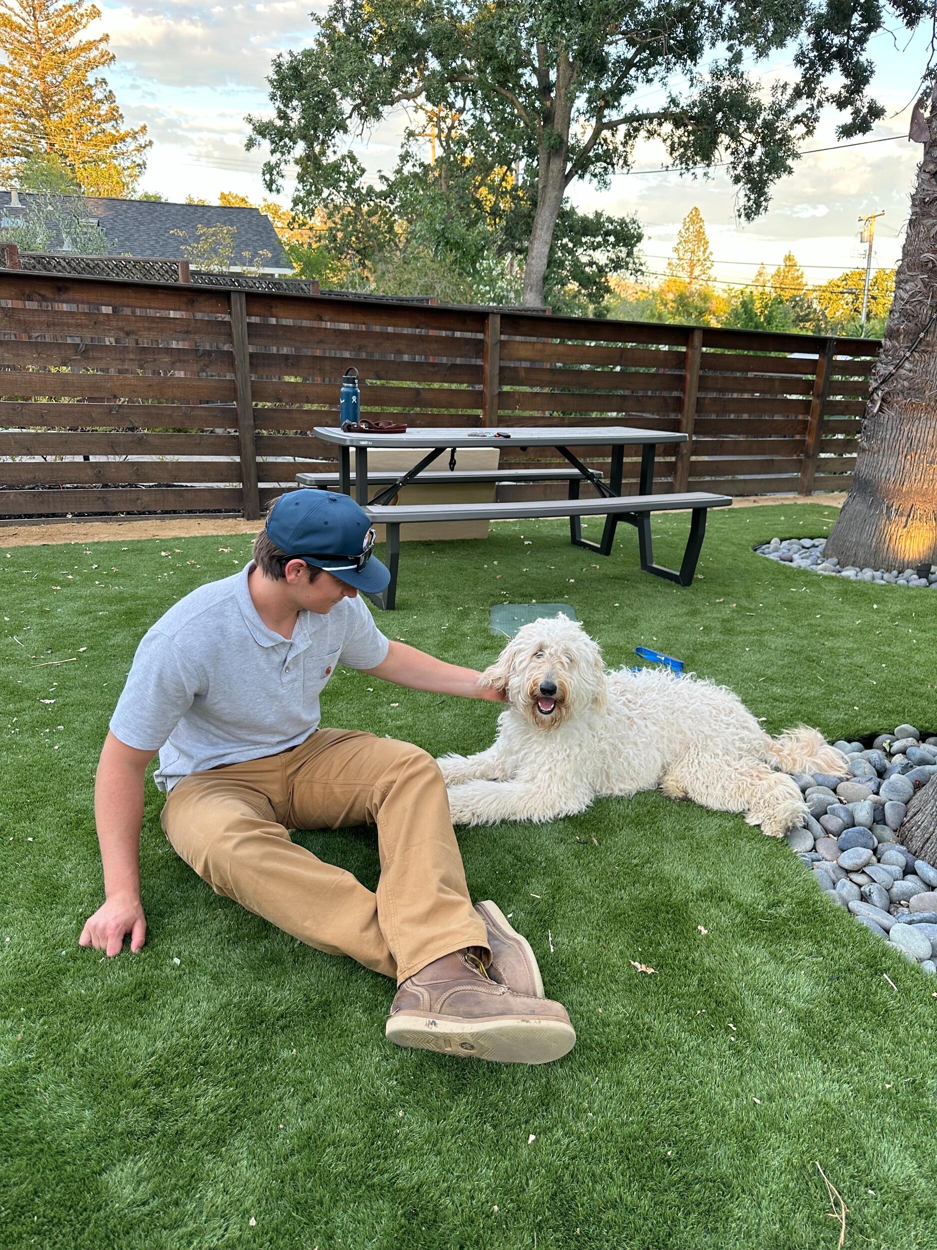 We adopt the commander and chief of our household, Odie! aka Mr O, Odellius, OO 