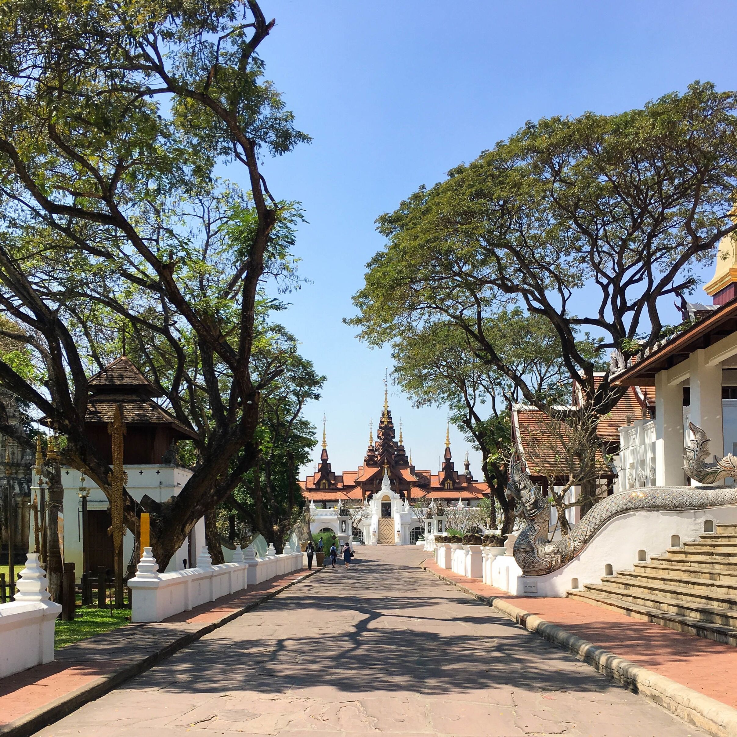 Picture of Dhara Dhevi