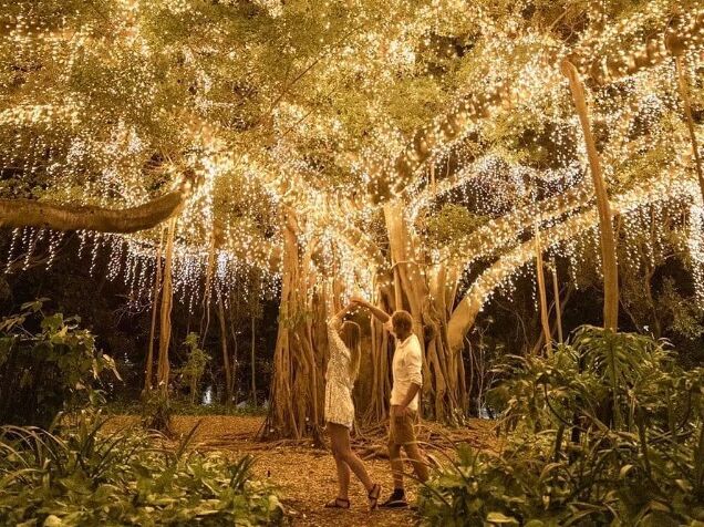 Picture of City Botanic Gardens