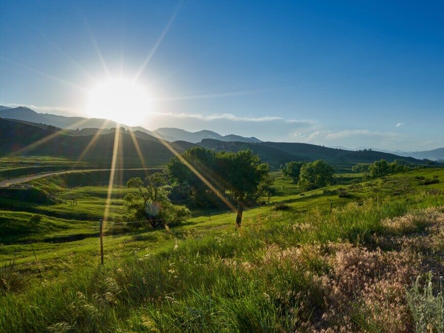 Picture of Lory State Park