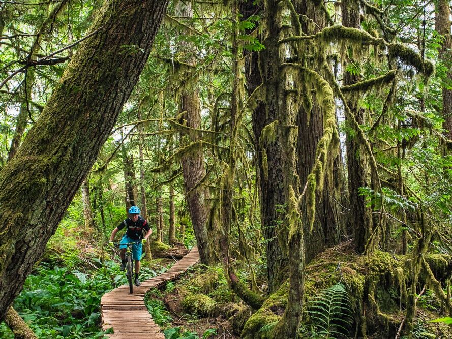 Picture of Mountain Biking