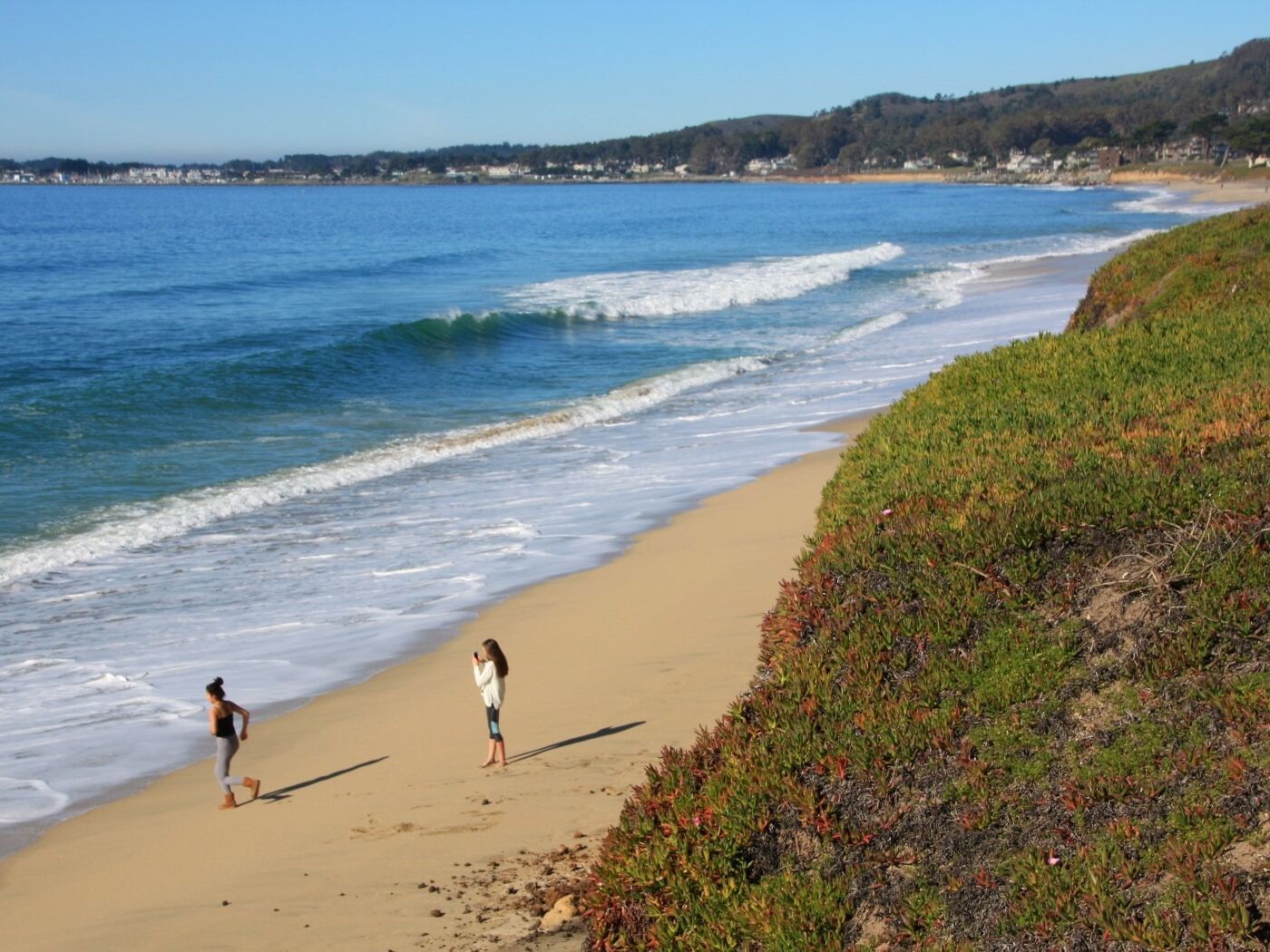 Picture of Half Moon Bay State Beach