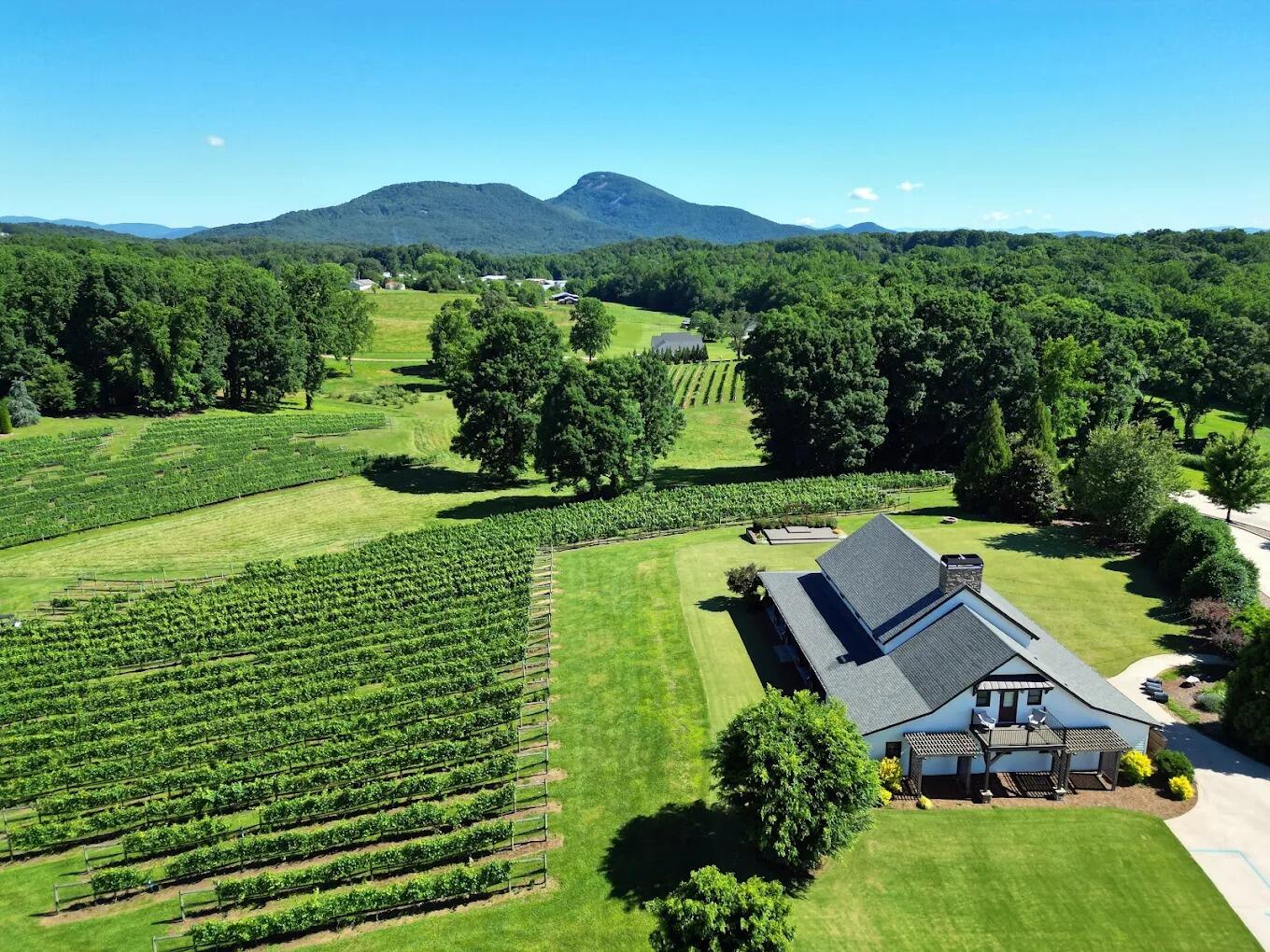 Picture of Visit a Vineyard