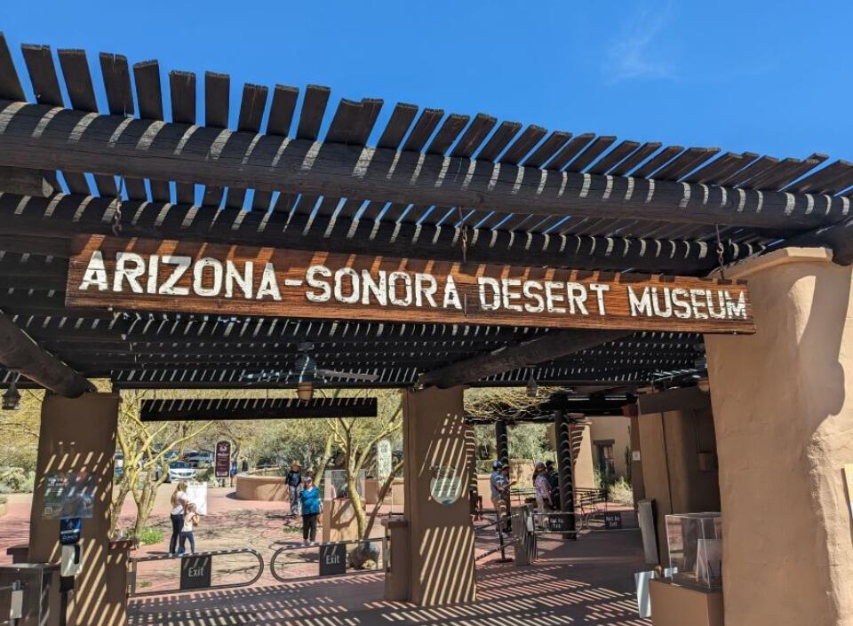 Picture of Arizona-Sonora Desert Museum