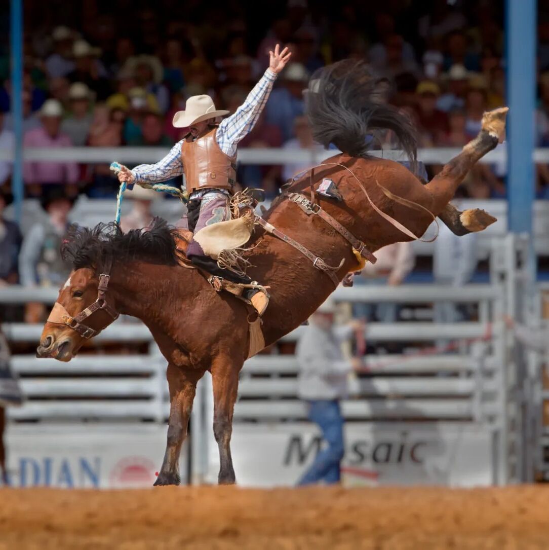 Picture of National Final Rodeo