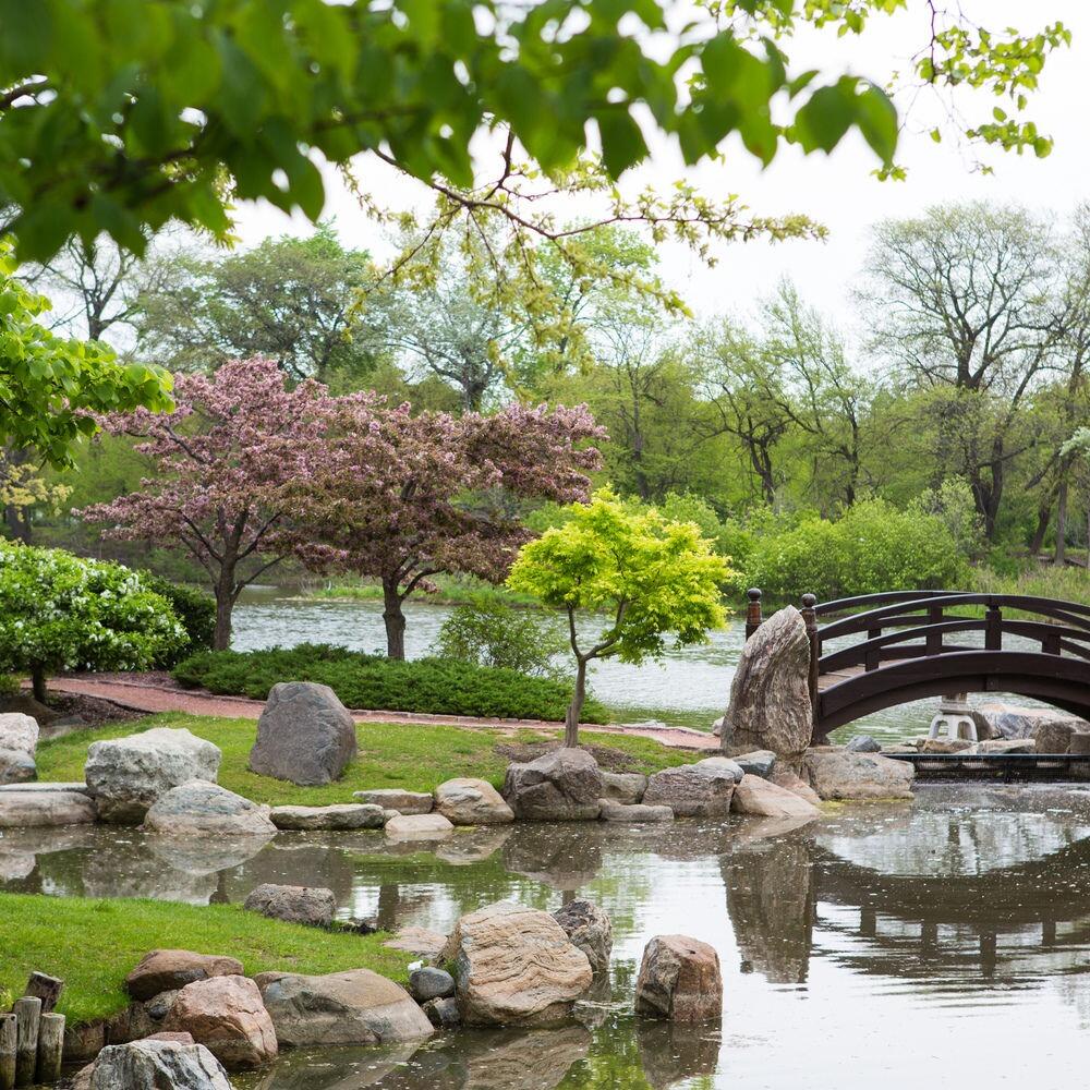 Picture of Jackson (Andrew) Park
