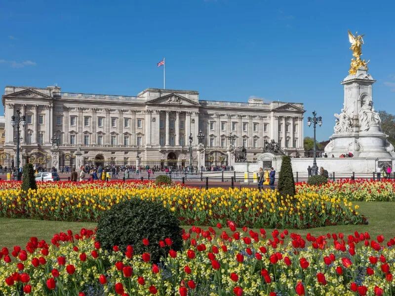 Picture of Buckingham Palace