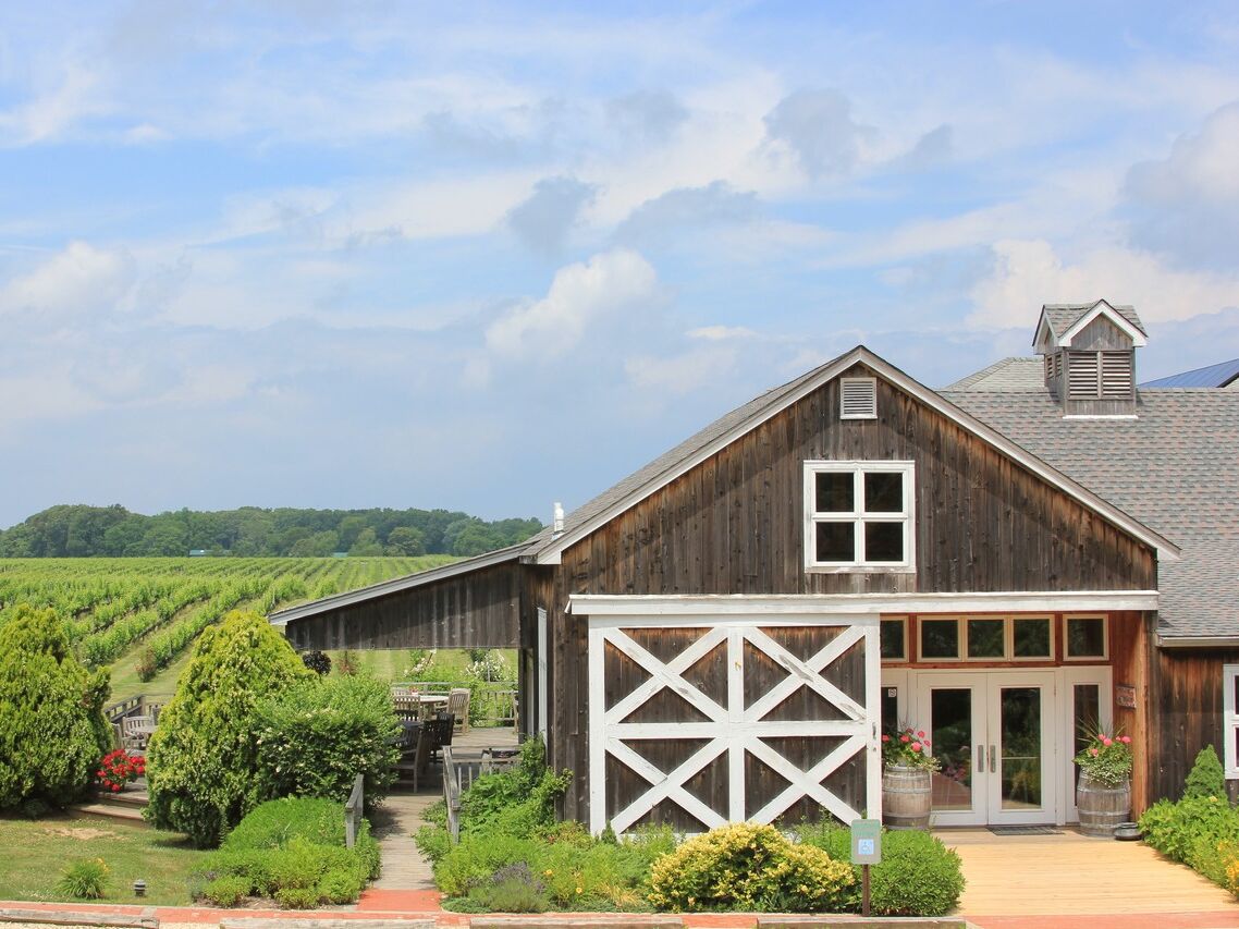 Picture of Paumanok Vineyards