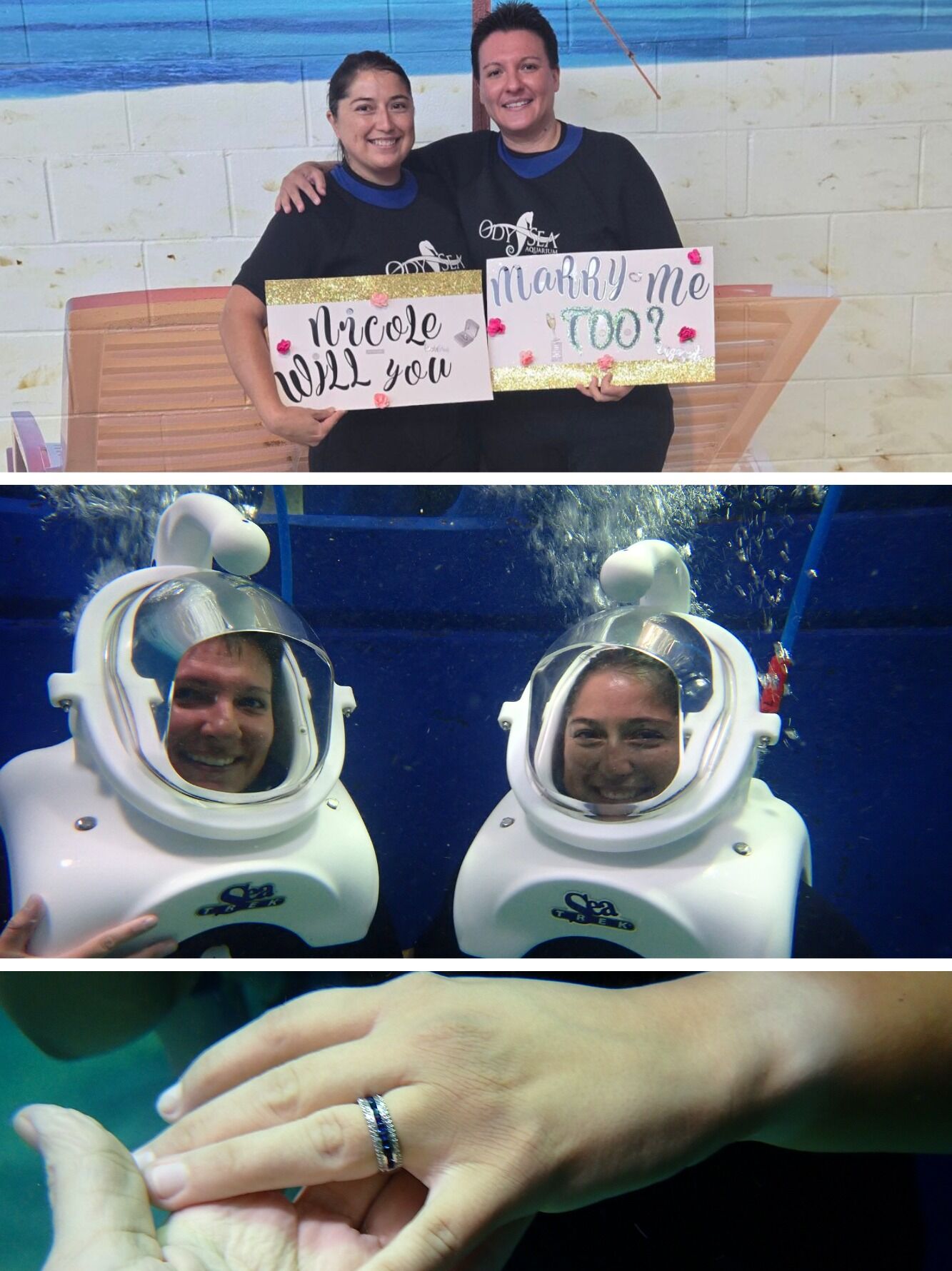 Picture of Will you marry me, too?