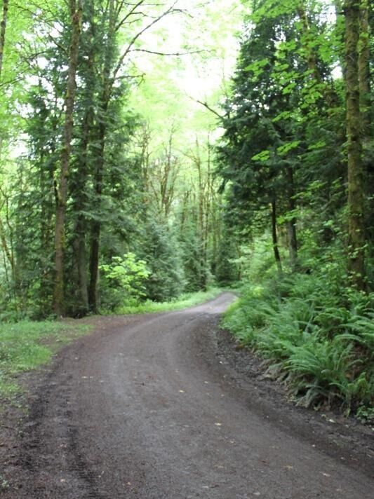Picture of Leif Erickson Trail