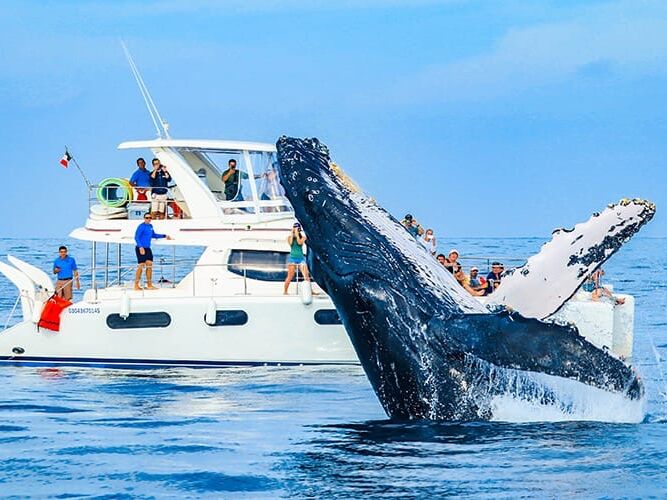Picture of Cabo Adventures