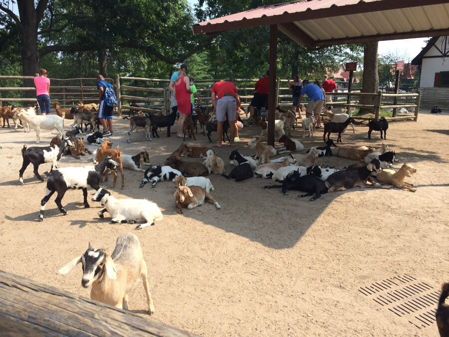 Picture of Grant's Farm