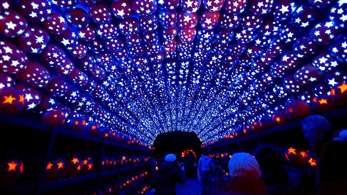 Picture of The Great Jack O’Lantern Blaze: Hudson Valley