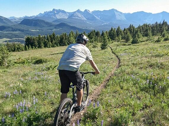 Picture of Biking