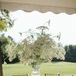Baby's Breath Centerpieces