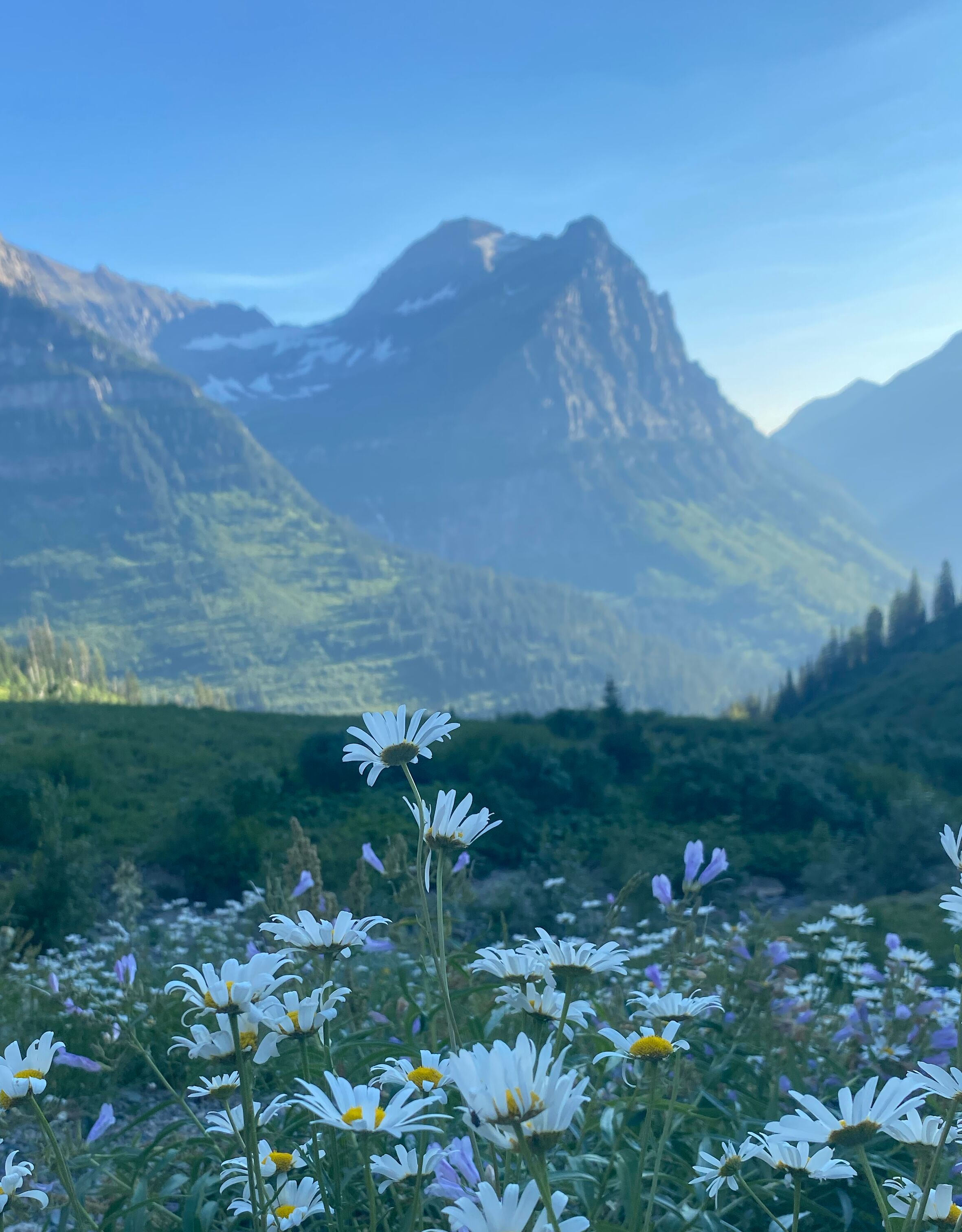 Picture of Glacier National Park