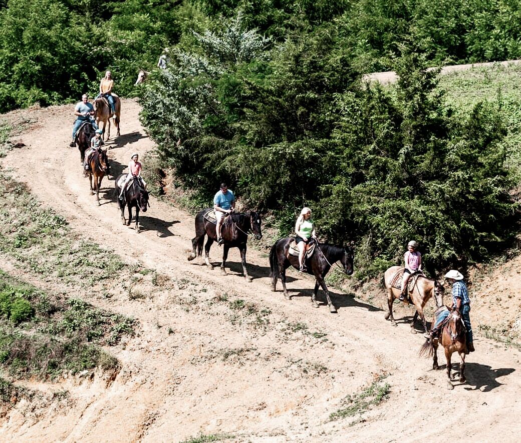 Picture of Five Oaks Riding Stable