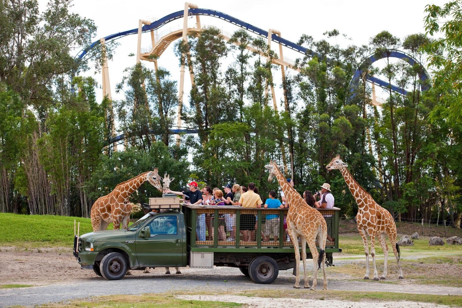 Picture of Busch Gardens Tampa Bay
